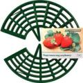 Продажа опоры для клубники