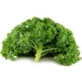 Продажа капуста листовая