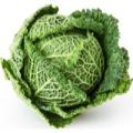 Продажа капуста савойская