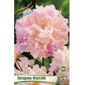 Без имени-262