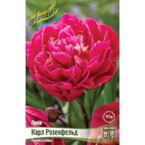 Без имени-261