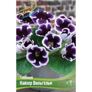 Без имени-247