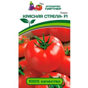 Без имени-203
