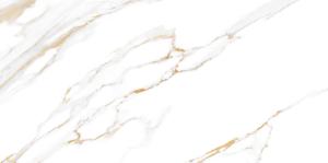 2f8b7333-4092-11ed-a8d1-3cecef014c2b010f5697-5459-11ed-a8d3-3cecef014c2b1