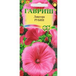 Без имени-1