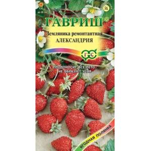 Без имени-2