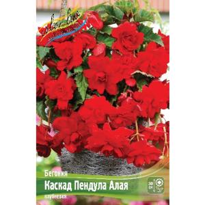 Без имени-217