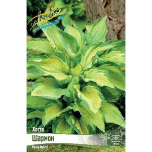 Без имени-273