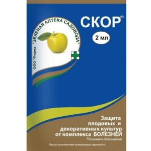 Без имени-361