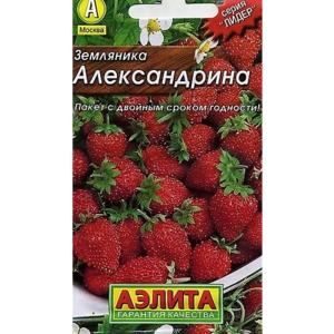 Без имени-1