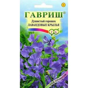Без имени-389