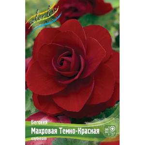 Без имени-222