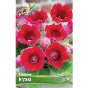 Без имени-249