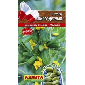 Без имени-429