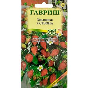 Без имени-5