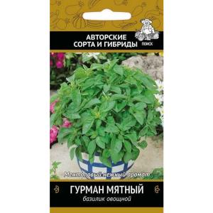 Без имени-382