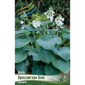 Без имени-270