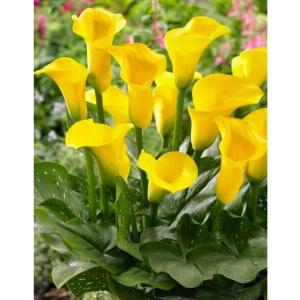 Без имени-68