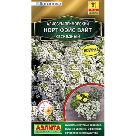 Без имени-257