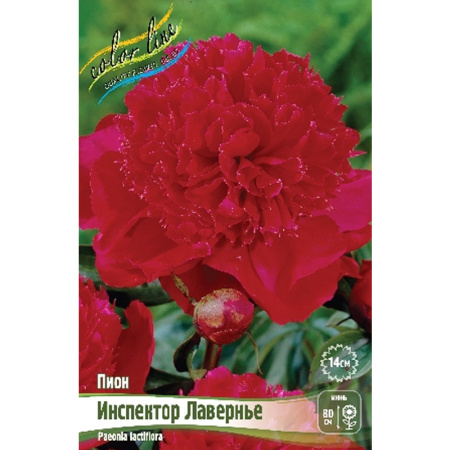 Без имени-260