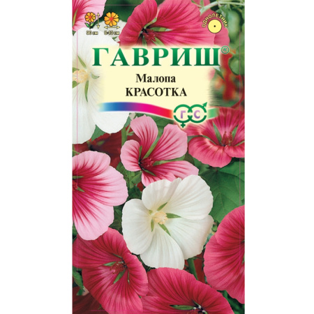 Без имени-473