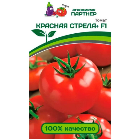 Без имени-203