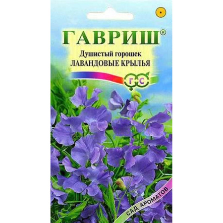 Без имени-389