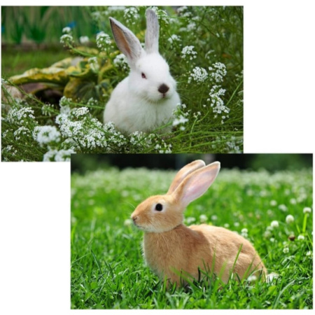 cb25df751444e3a1ba157f3b8addee56