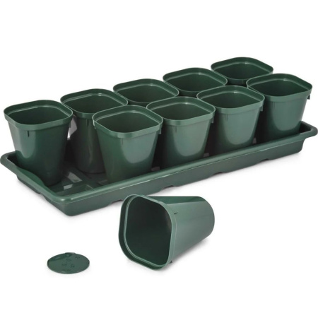 Без имени-525