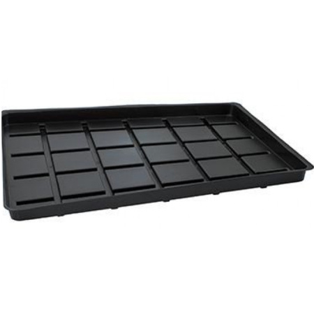 Без имени-529