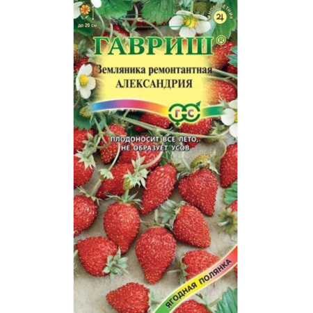 Без имени-2