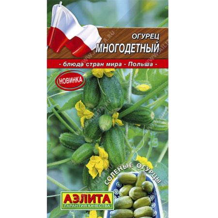 Без имени-429