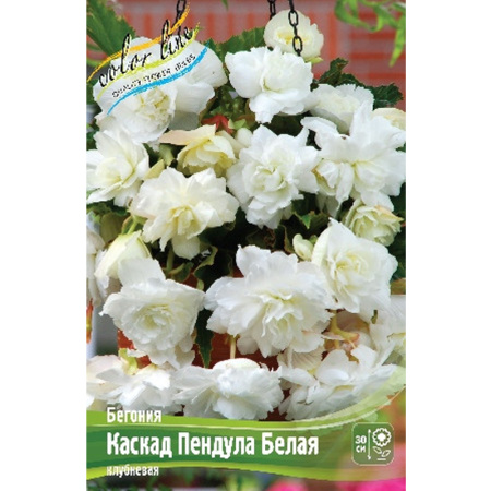 Без имени-218