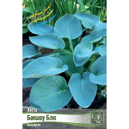 Без имени-268