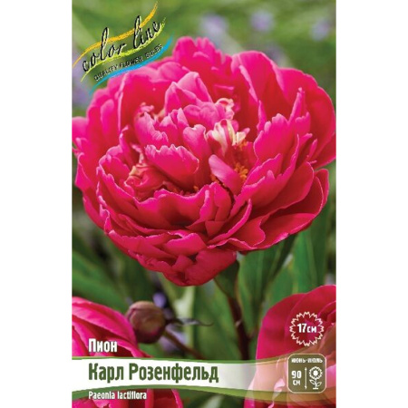 Без имени-261