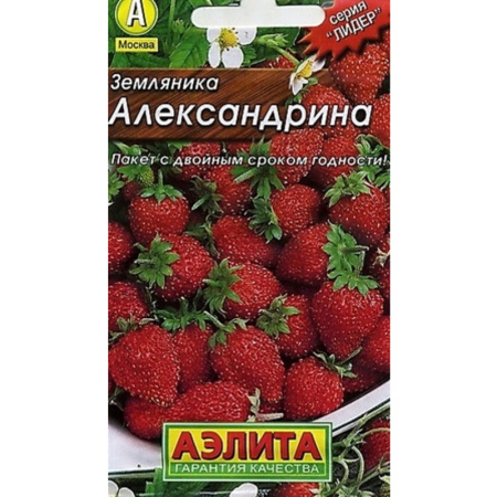 Без имени-1