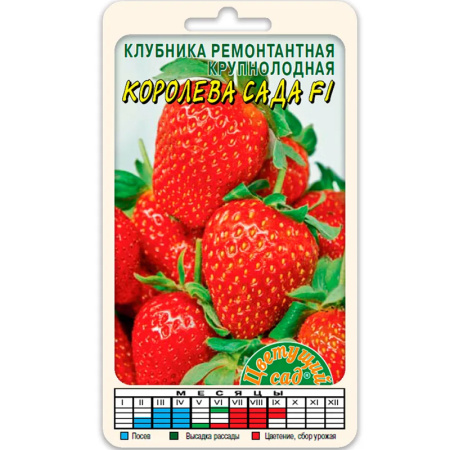 Без имени-396