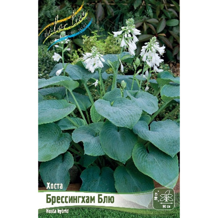 Без имени-270