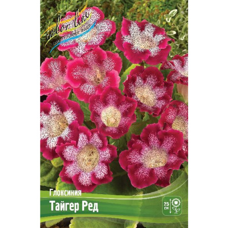 Без имени-252