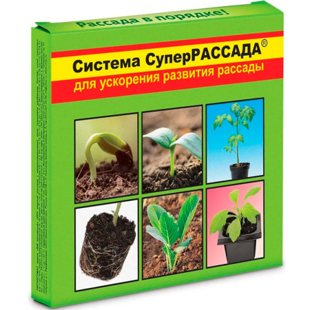 Без имени-368