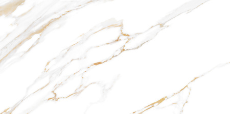 2f8b7333-4092-11ed-a8d1-3cecef014c2b010f5697-5459-11ed-a8d3-3cecef014c2b1