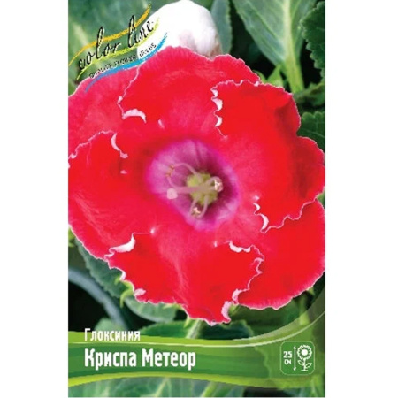 Без имени-250