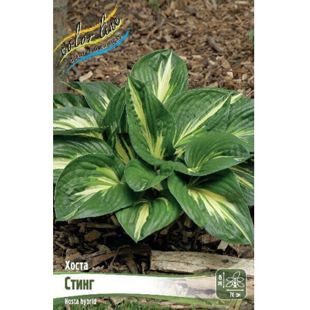 Без имени-272