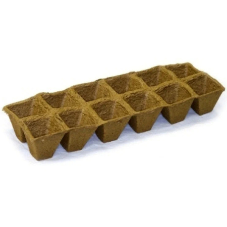 Без имени-519