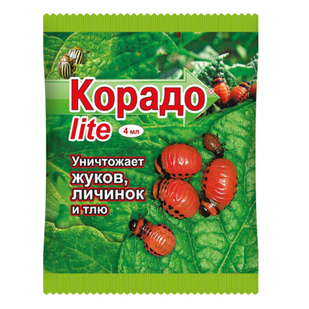 Без имени-1кк