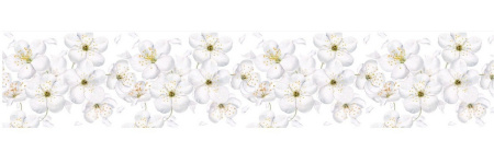 10cb5cf1-6687-11e9-8580-503eaa02c86425cec698-ea0c-11eb-a8af-3cecef014c2b1