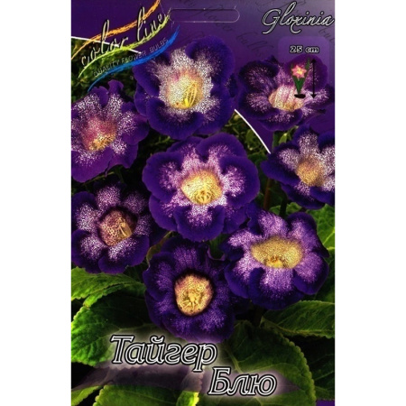 Без имени-251